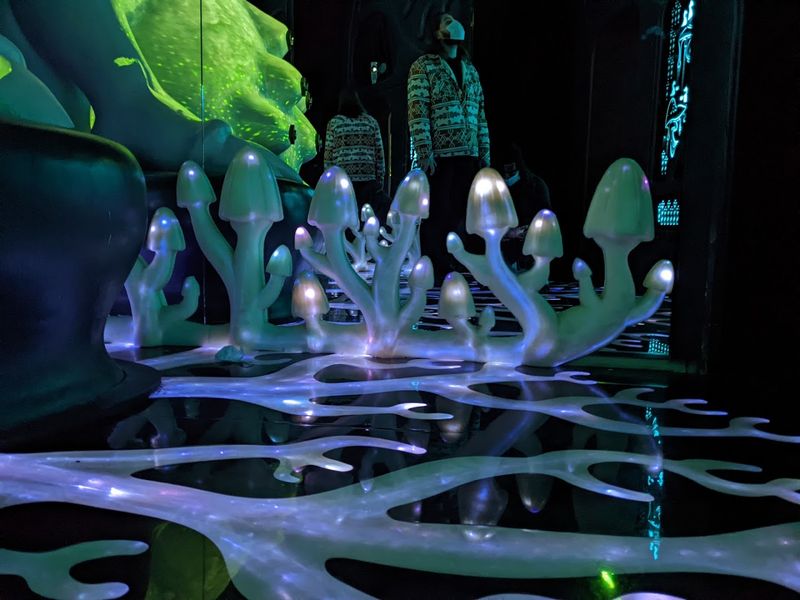 More Than One Hundred Creators Gave The Place Its Wild Imagination