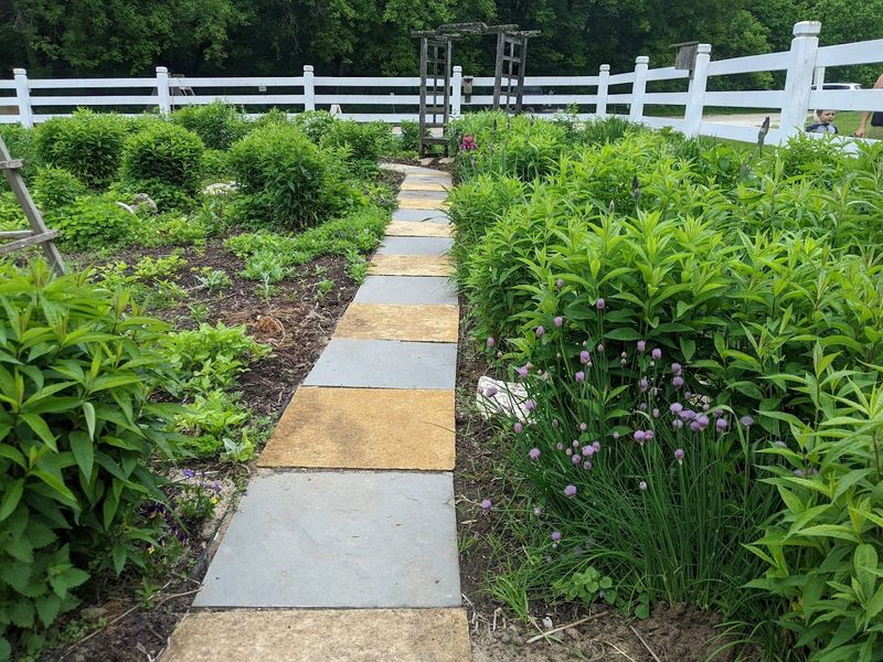Wander Through The Display Gardens