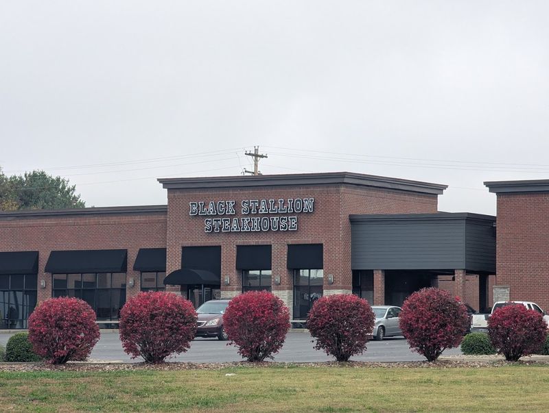 Black Stallion Steakhouse