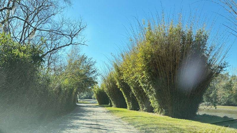 Navigating Paths And Driving Tips