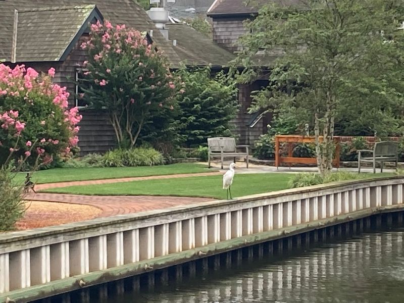 Cycling Through A Town Built For It