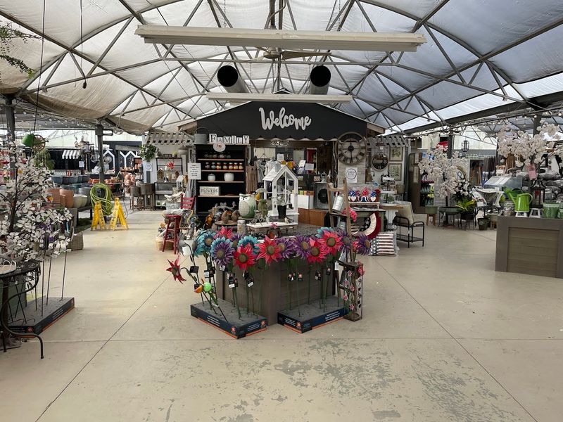 Layout and Atmosphere That Make Browsing a Pleasure