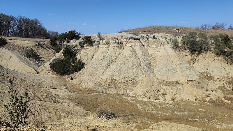 Search The Quarry For Devonian Fossils