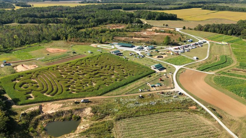 The Corn Maze That Turns Navigation Into An Adventure