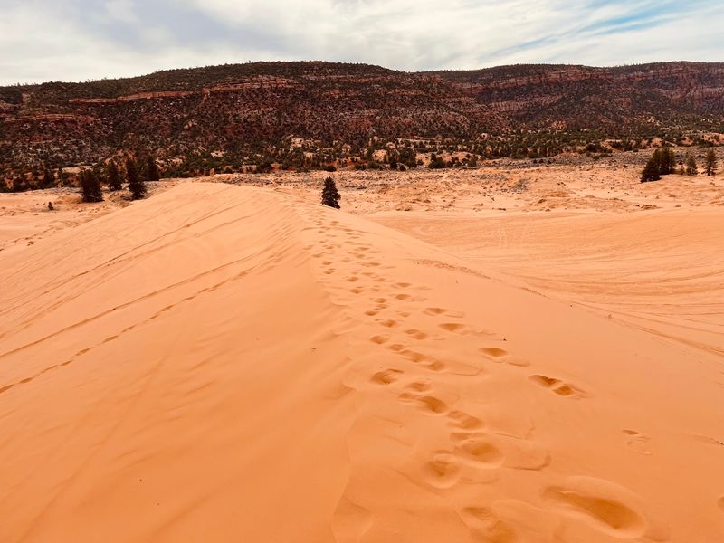 How Families Actually Survive The Dune Climb