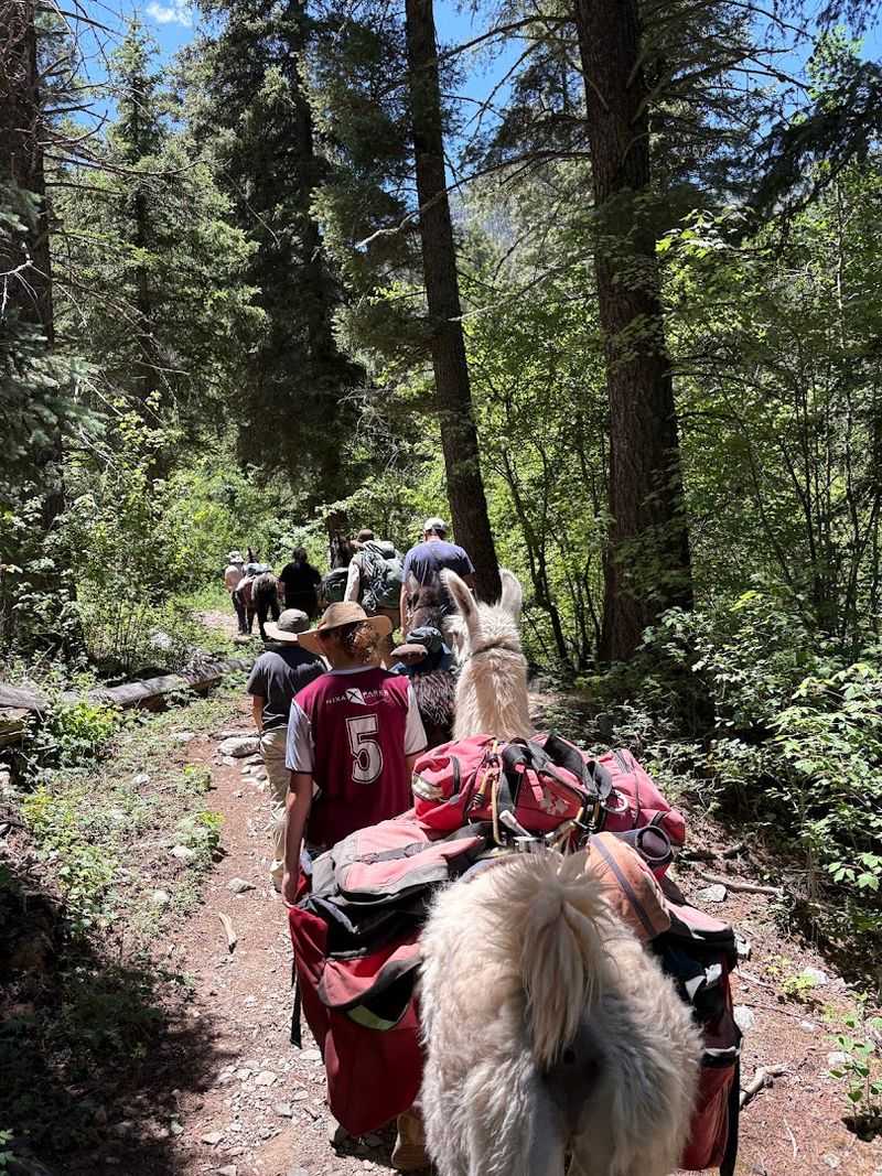 A Peaceful Journey Into New Mexico's Wilderness