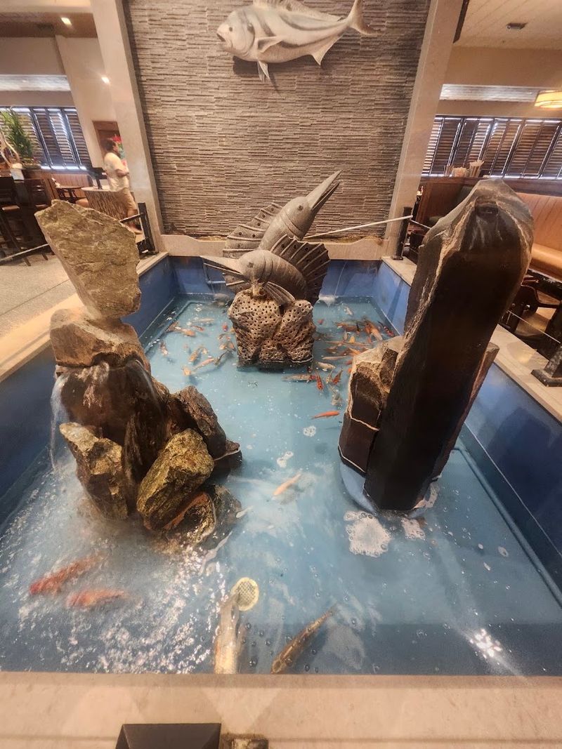 The Koi Pond Is A Quirky And Memorable Touch