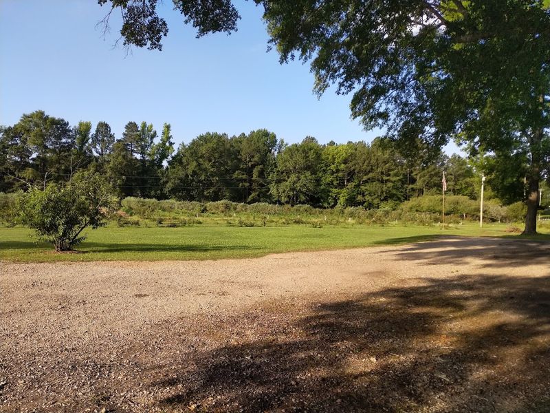 A Hidden Gem Worth The Drive