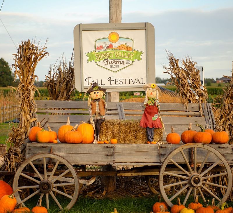 Apple Cider Donuts That Deserve Their Own Fan Club