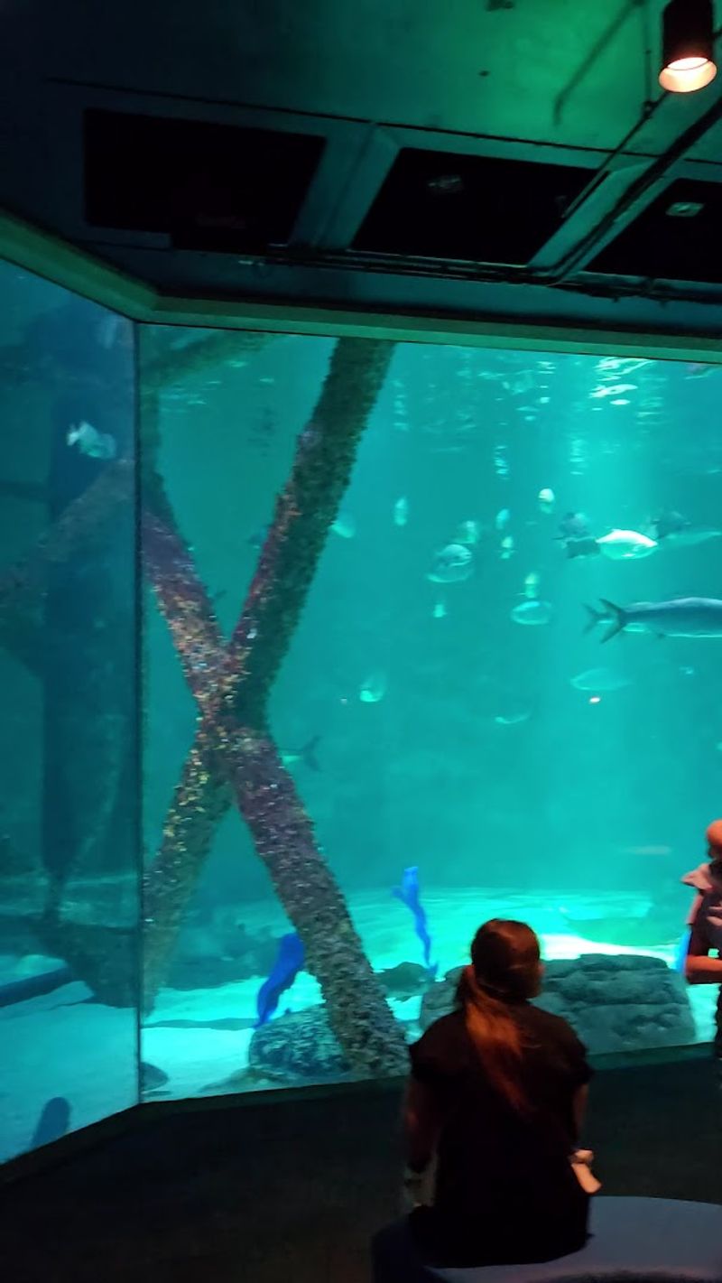 Observe The LED Immersive Screen