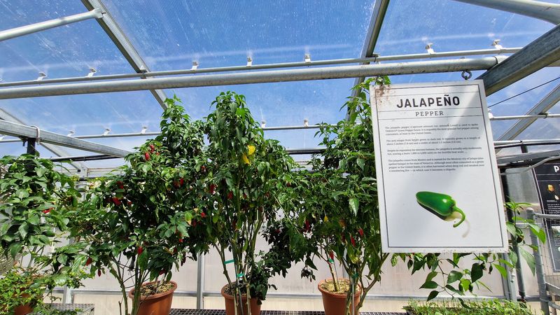 Visit The Pepper Greenhouse