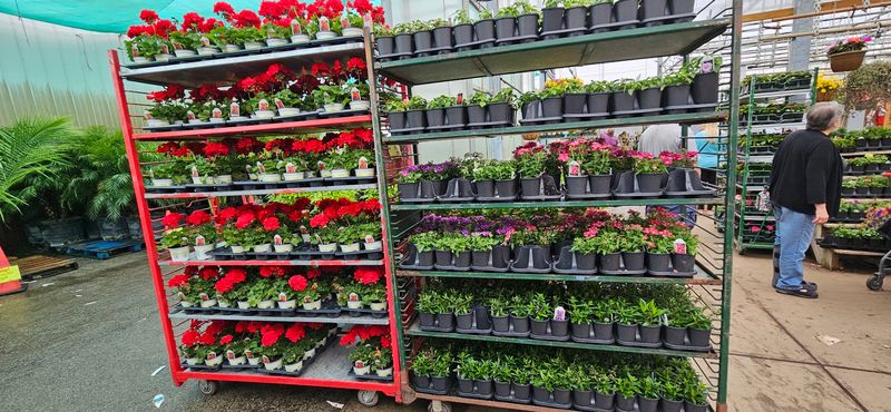 A Garden Section That Earns Its Own Visit
