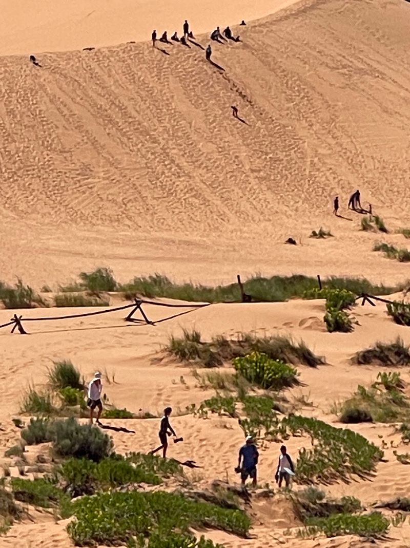 What Sandboarding Actually Feels Like On These Dunes