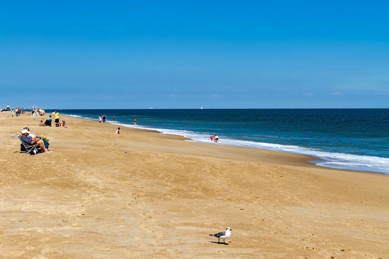 Cape Henlopen State Park Is The Real Highlight