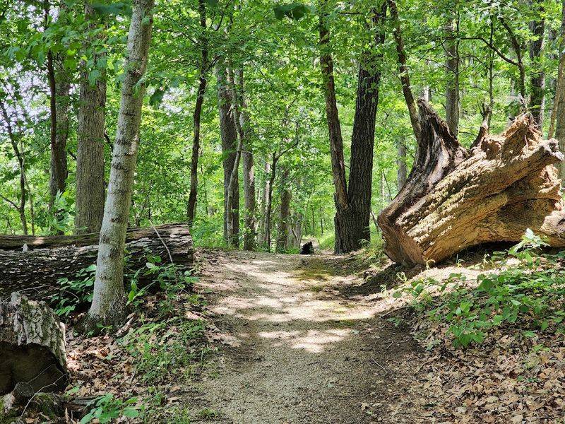 Trails That Make You Forget You Are in Iowa