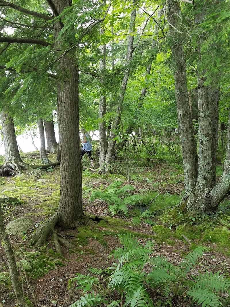 What The Chequamegon-Nicolet National Forest Adds To The Experience