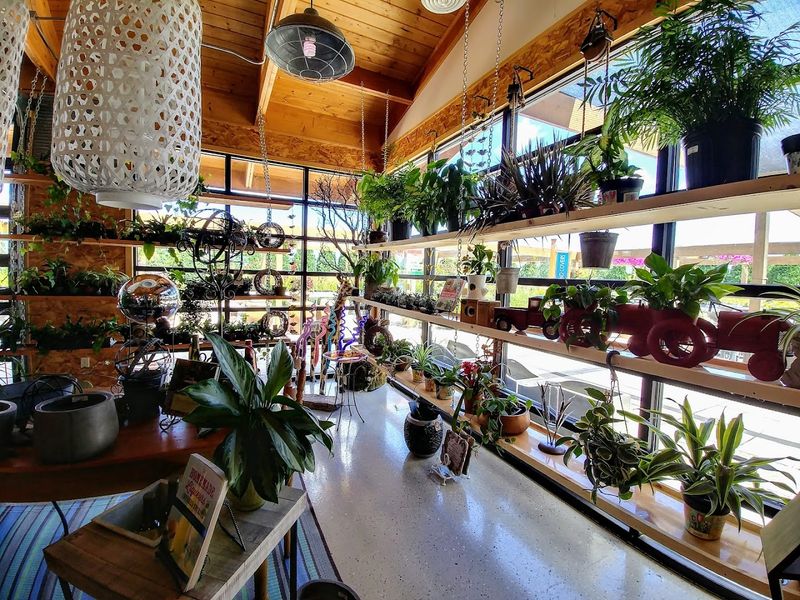 Staff Who Actually Know Their Plants