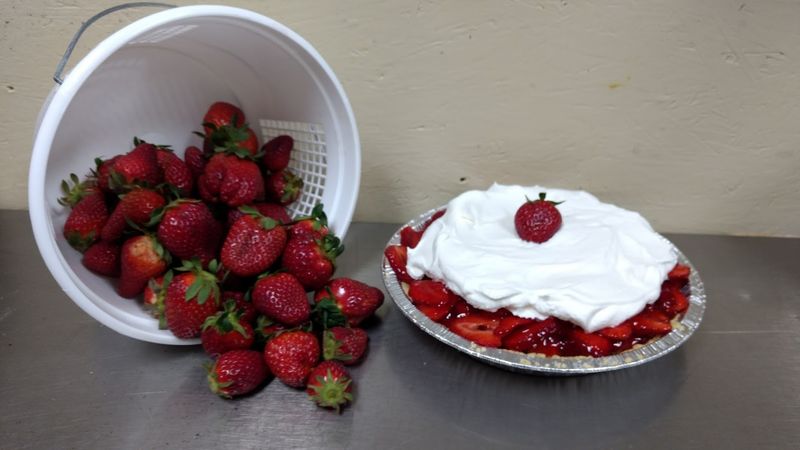 Pies And Cakes That Are Genuinely Hard To Forget