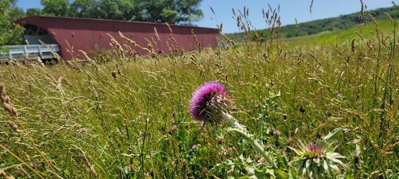 Why Hogback Stands Out Among the Six