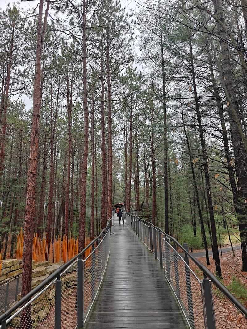 Accessibility On The Canopy Walk