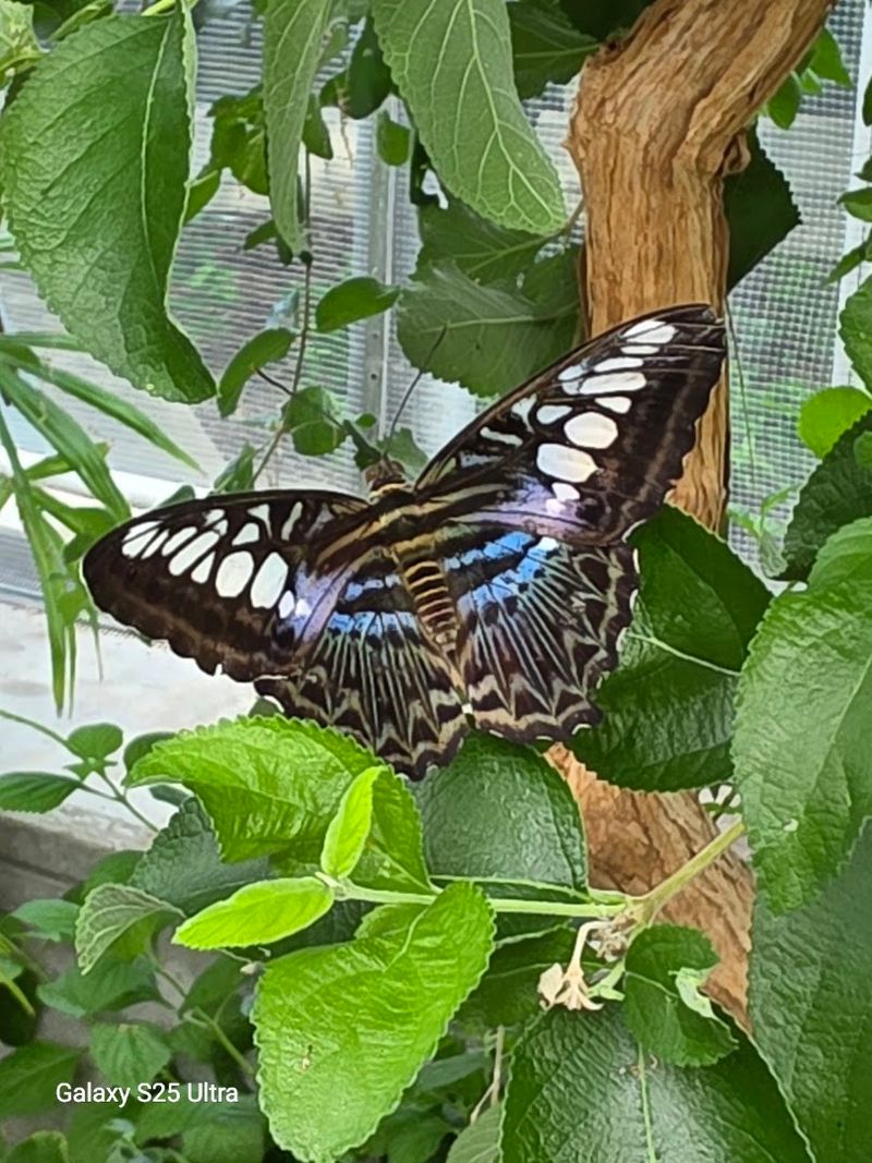 Photography at Reiman Gardens