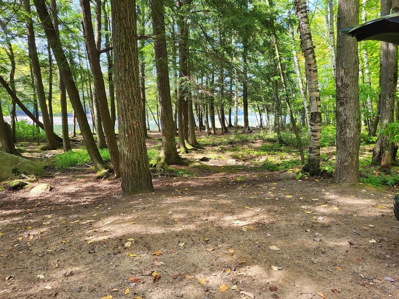Rustic Camping Done Right In The National Forest
