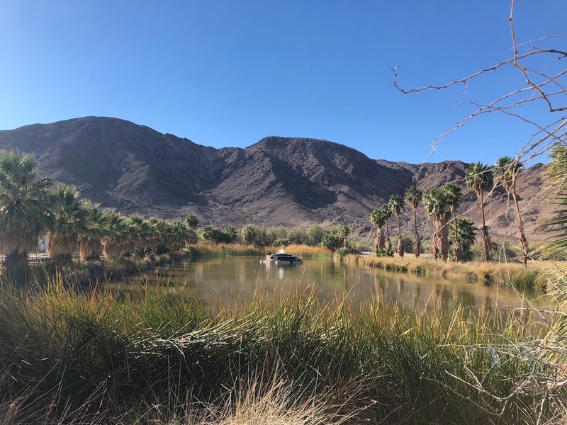 The California State University Desert Studies Center