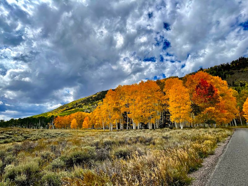 When To Visit Pando For The Most Memorable Experience