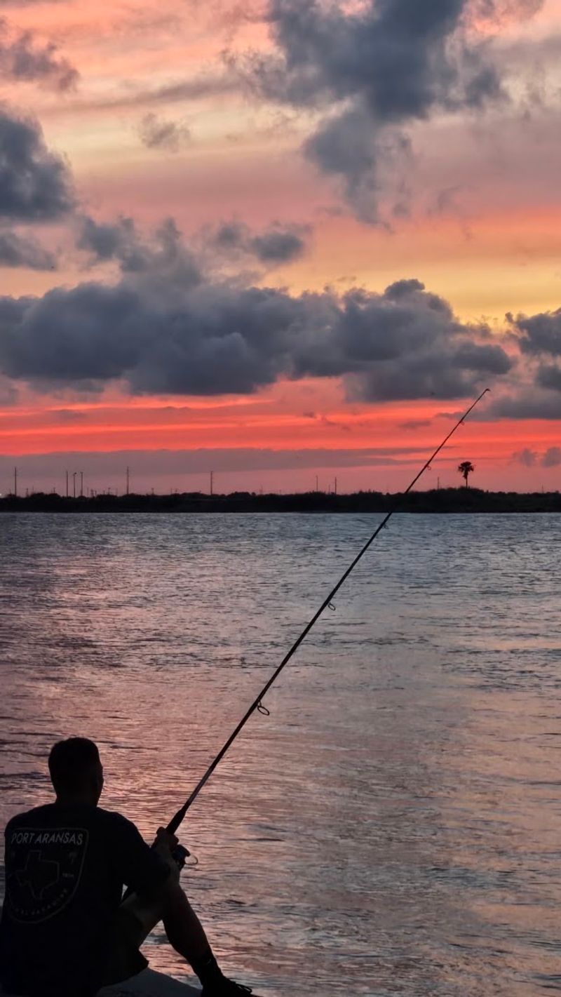 Fishing Earned Port Aransas An Official Texas Title