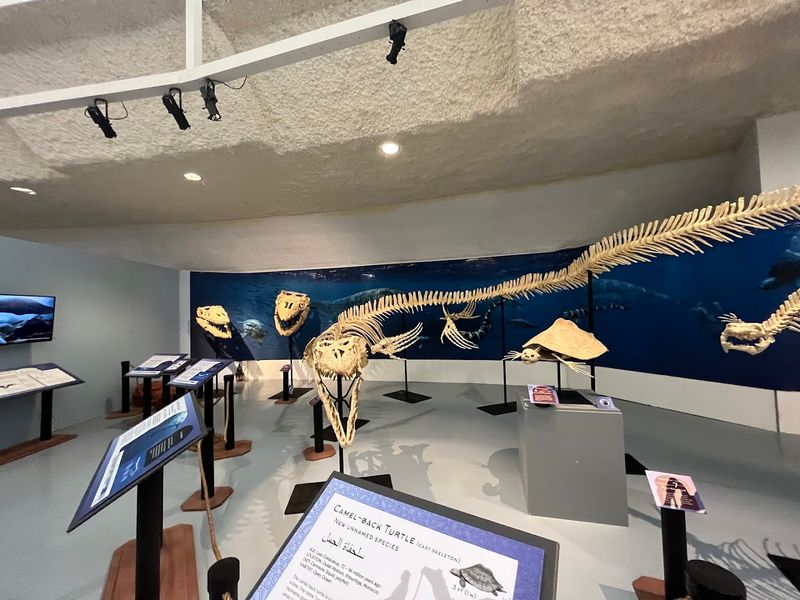 Kansas Was Once An Ancient Inland Sea