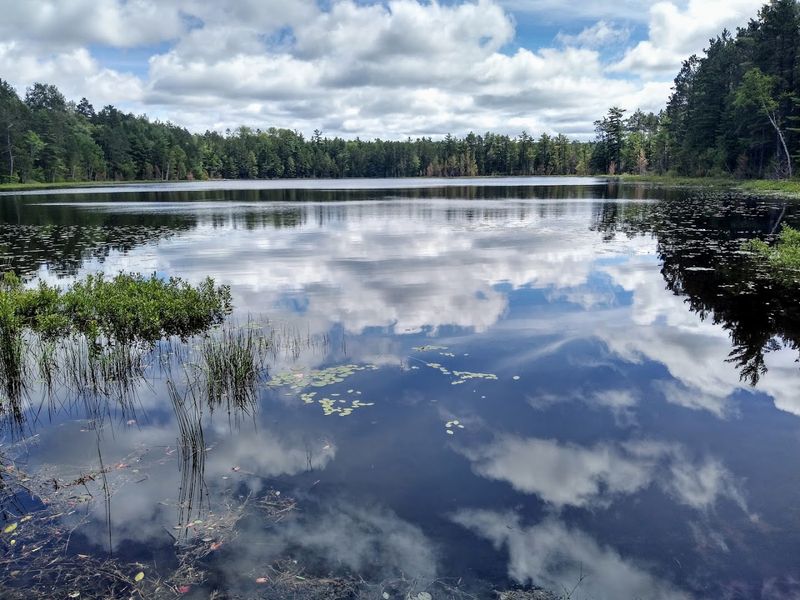 Bass Bluegill And Perch Share The Fishing Duties