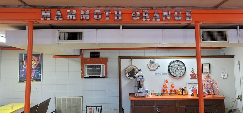 The Kind Of Counter Where Nostalgia Does The Decorating
