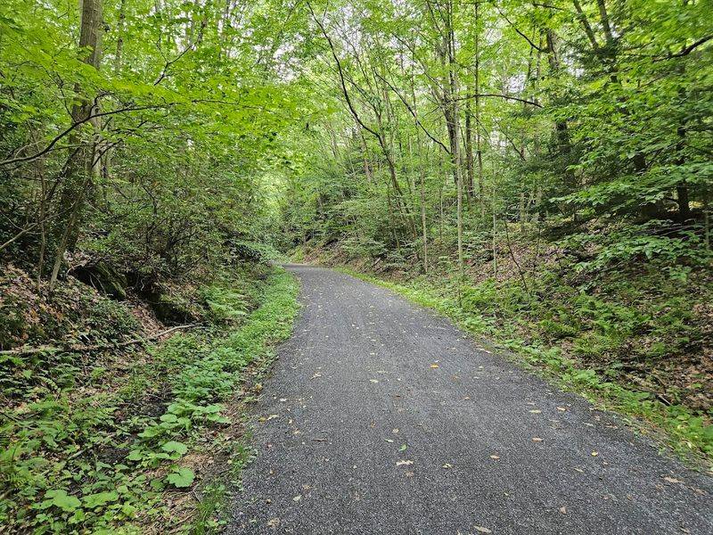 What The Trailhead At Wehrum Looks Like