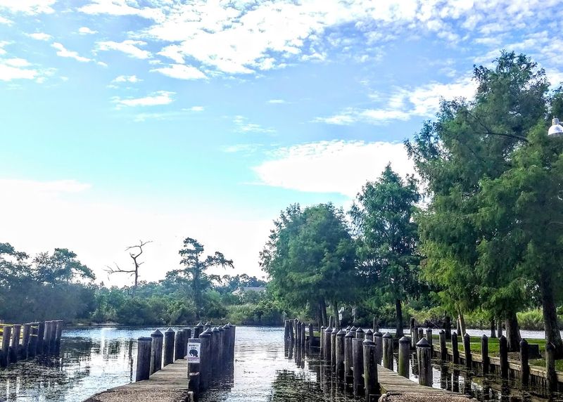 Paddling Bayou Castine