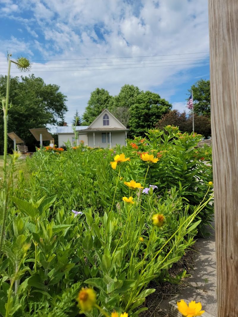 The Grounds, Garden, And Outdoor Space