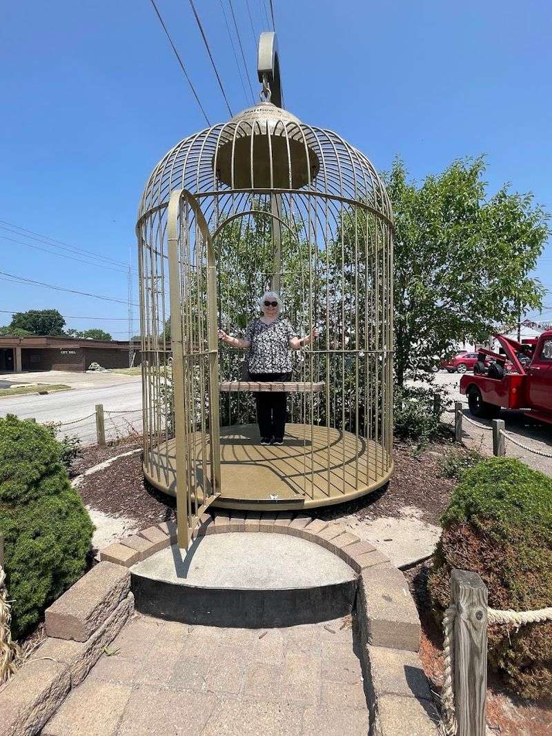 The Huge Bird Cage