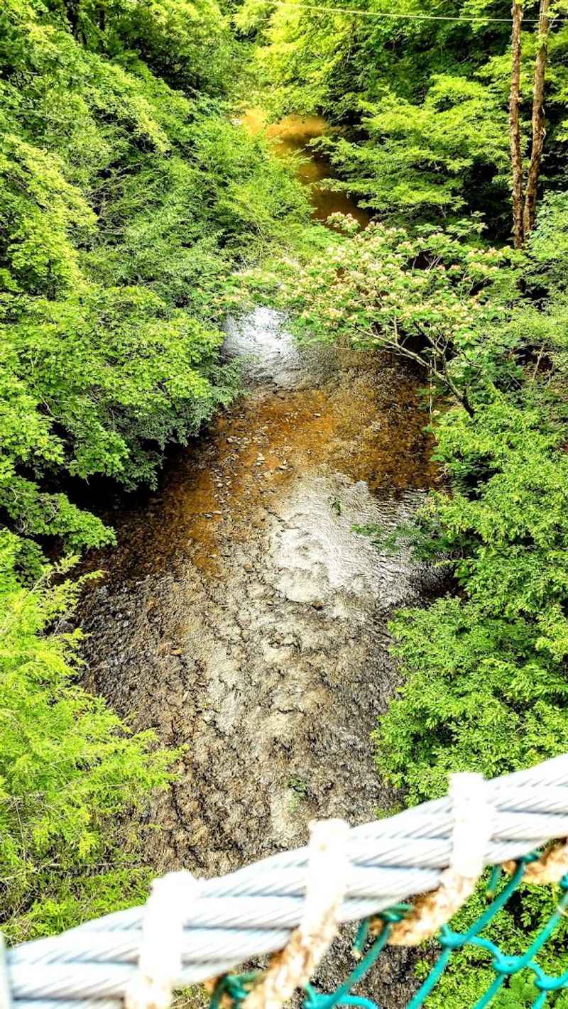 More Than 500 Feet Put The Ground In A Supporting Role