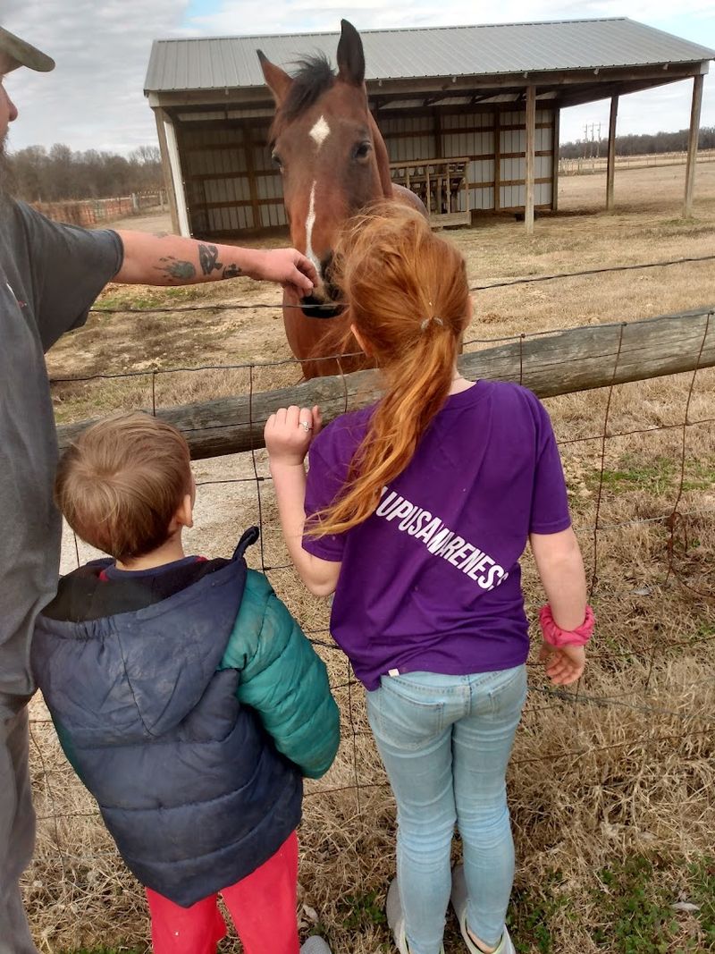 The Horse Farm Makes This Stop Stand Out
