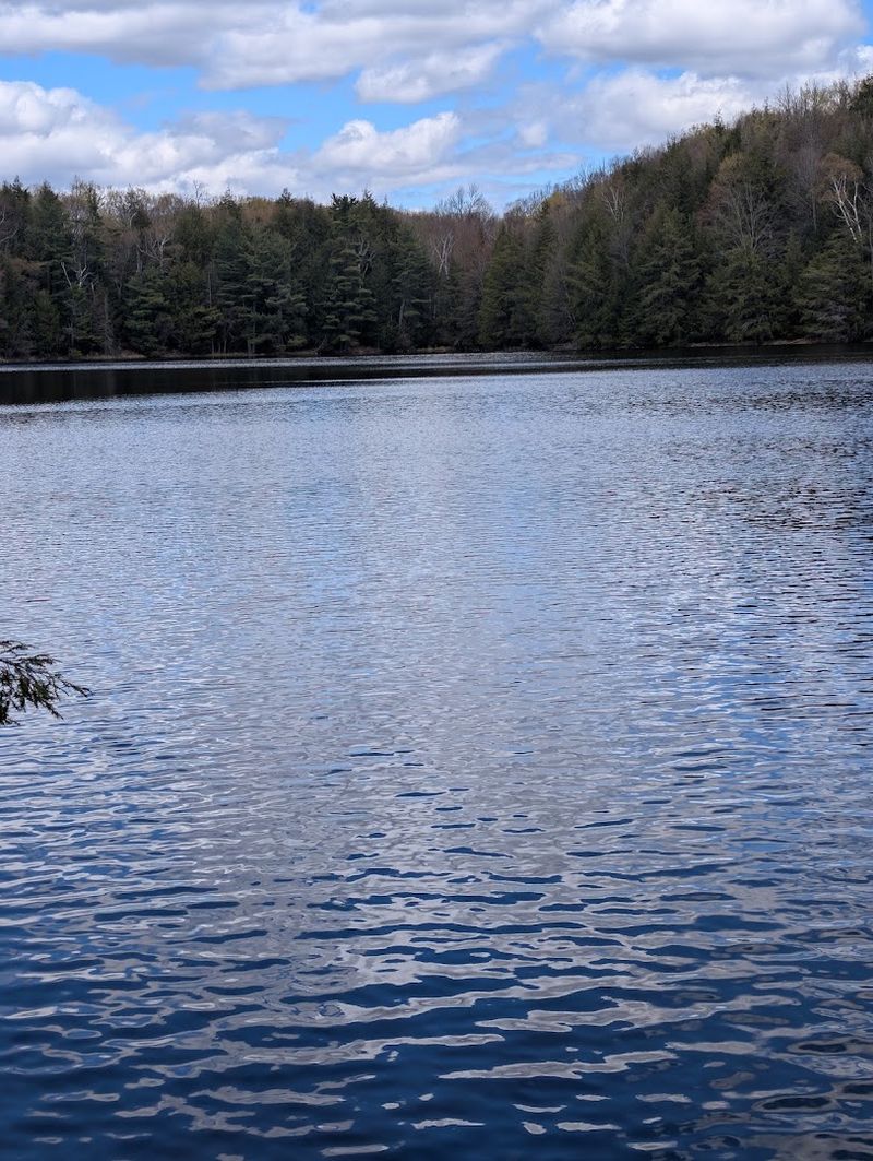 Bass Lake Appears Below The Hill