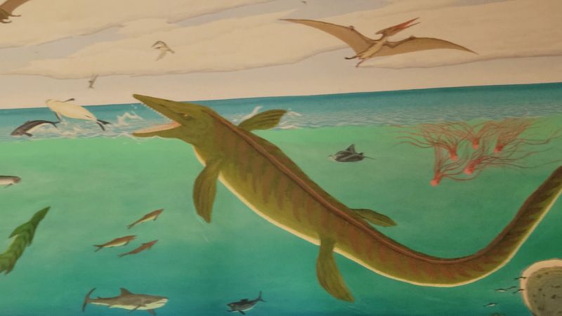 The Bonner Family And The Fossil Genus Named For Them