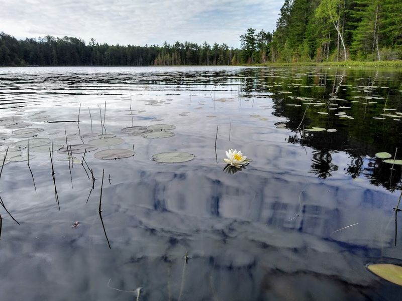 The Fishing Hole Begins At The Water’s Edge