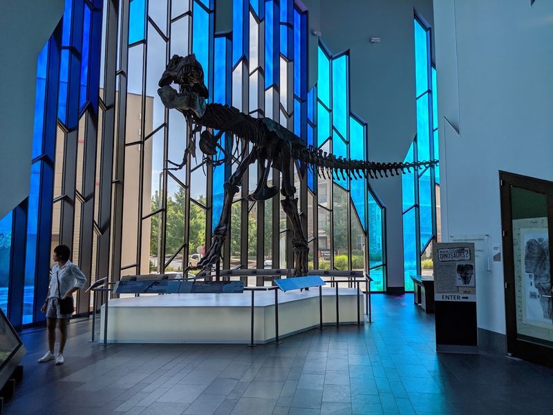Dinosaur Fossils and Casts That Dominate the First Floor
