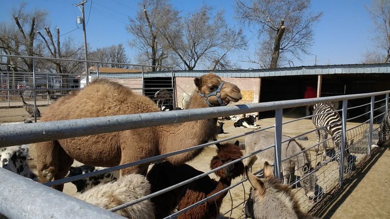 The Property Houses An Impressive Variety Of Exotic Animals