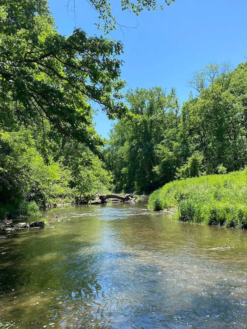 Pine Creek And The Joy Of Getting Your Feet Wet