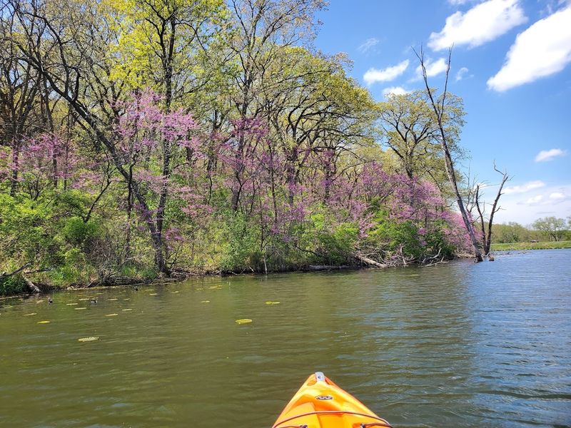 Boat Rentals and Getting Out on the Water