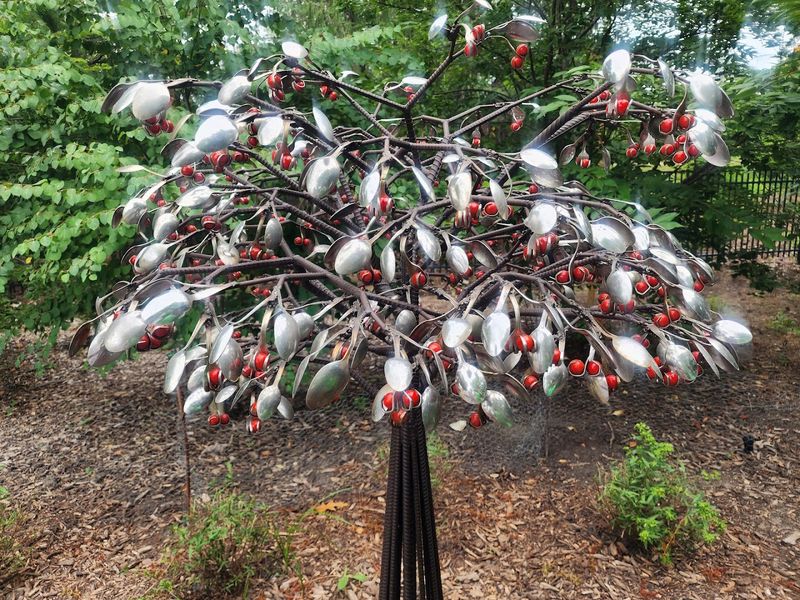 The Children's Garden and Its Hands-On Features