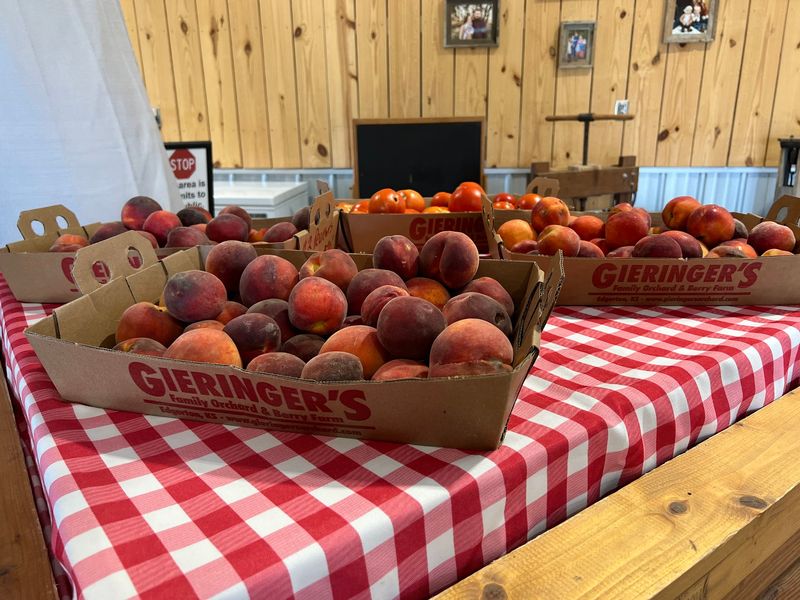 The Peaches Are The Real Star Of August