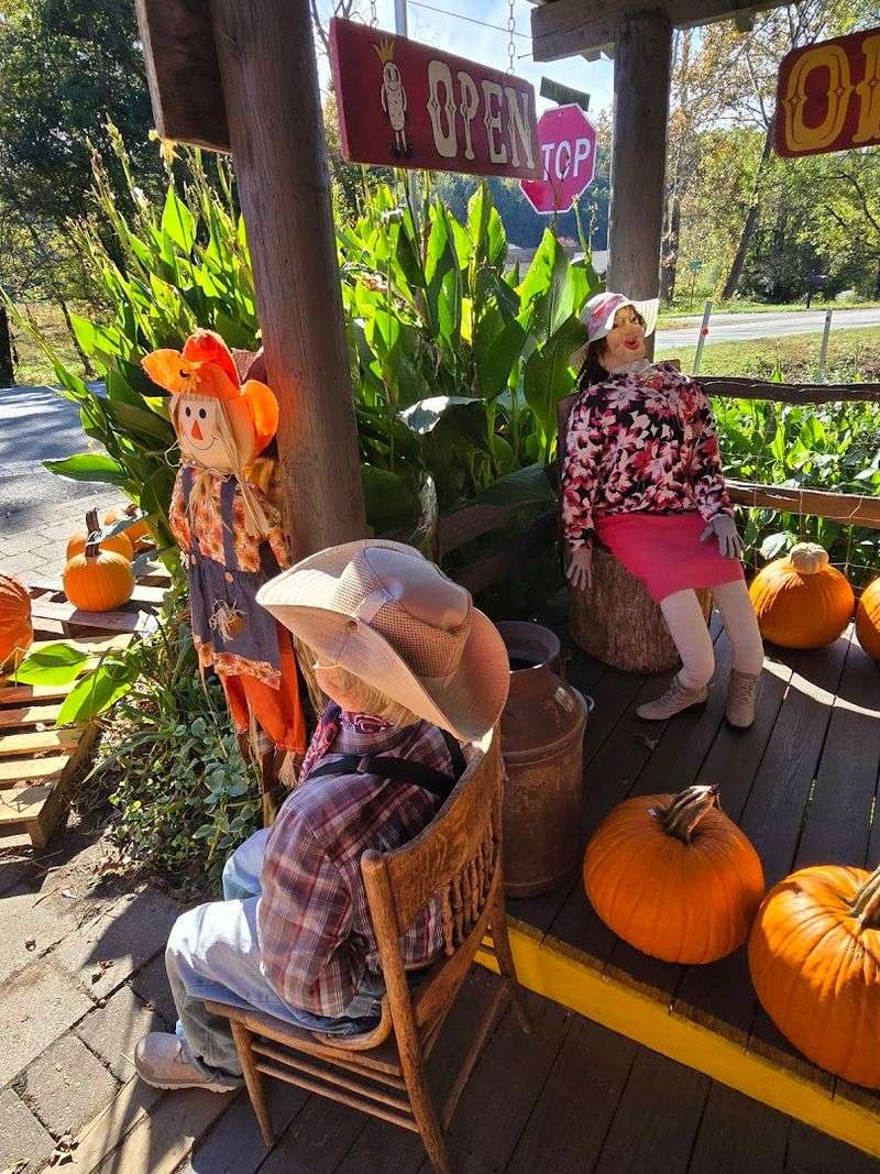 Why This North Georgia Peanut Stand Still Owns The Brake-Tap Moment