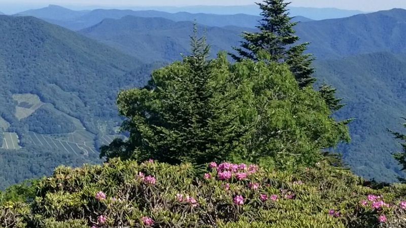 Roan Mountain Views Waiting Just Beyond Town