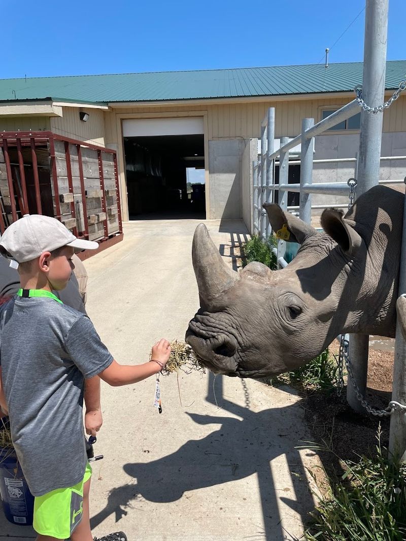 Ultimate VIP And Weekend Packages For Serious Animal Lovers